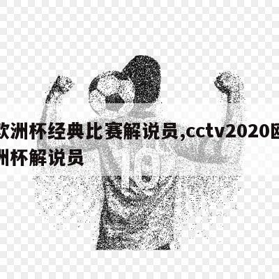 欧洲杯经典比赛解说员,cctv2020欧洲杯解说员